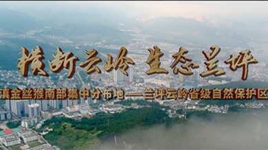 【專題片】雲嶺自然保護區(qū)